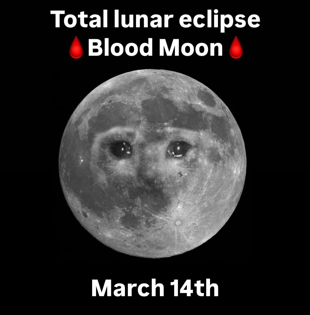 Dreams about moon and death (what these powerful night visions are trying to tell you).